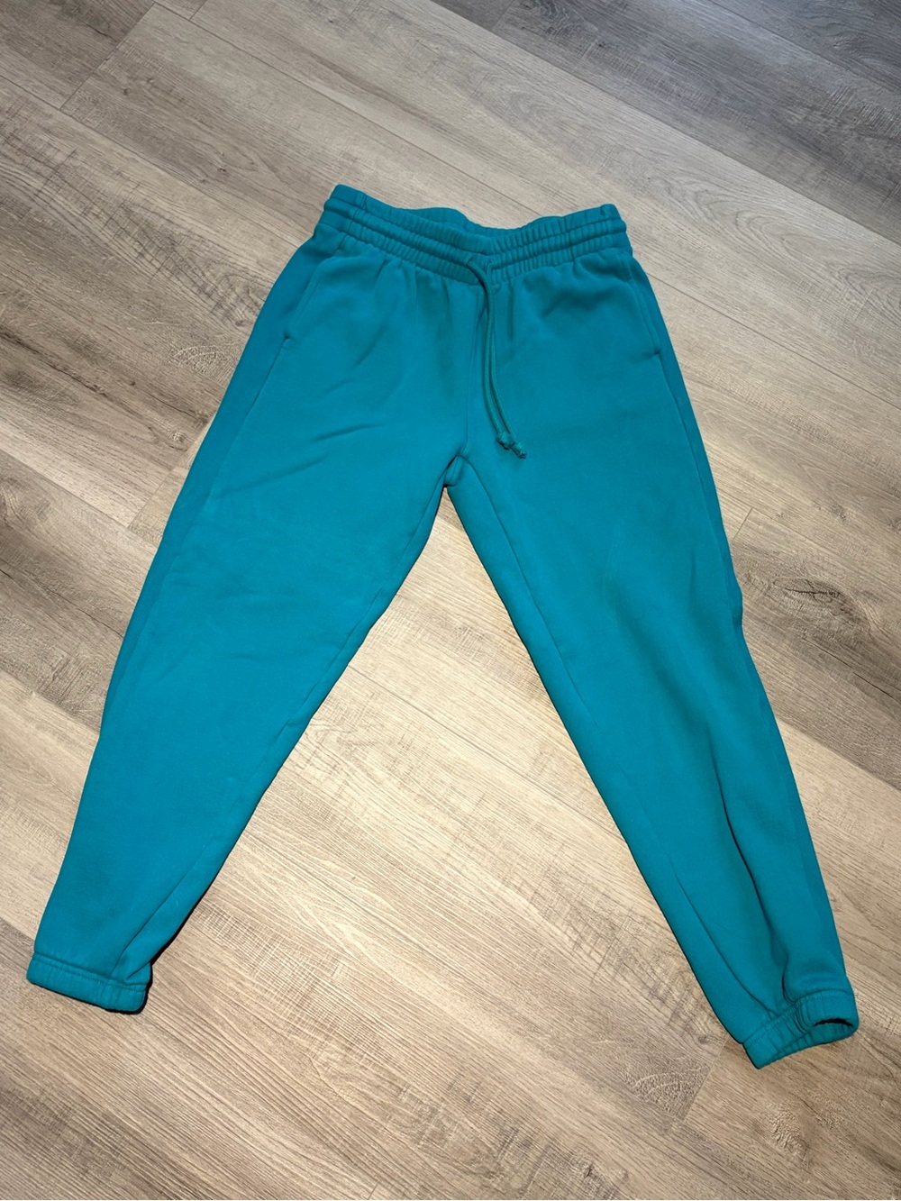 Teal TNA Aritzia Sweatpants